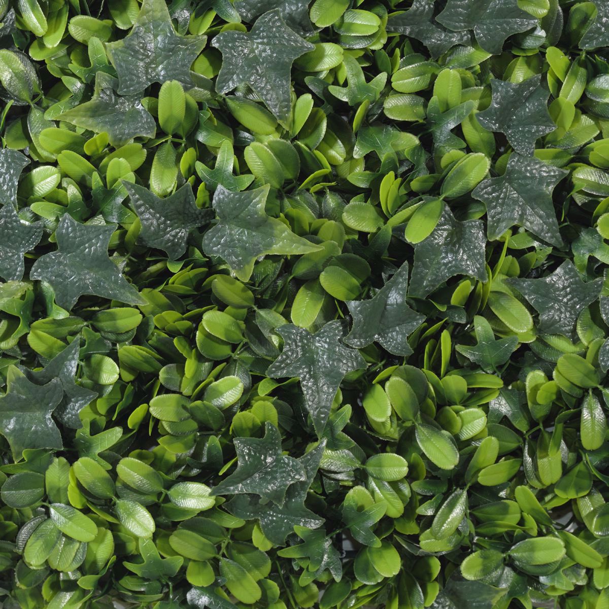 Supergreens Texniti Fullosia Kissos me Fiko 50x50cm 6031-7