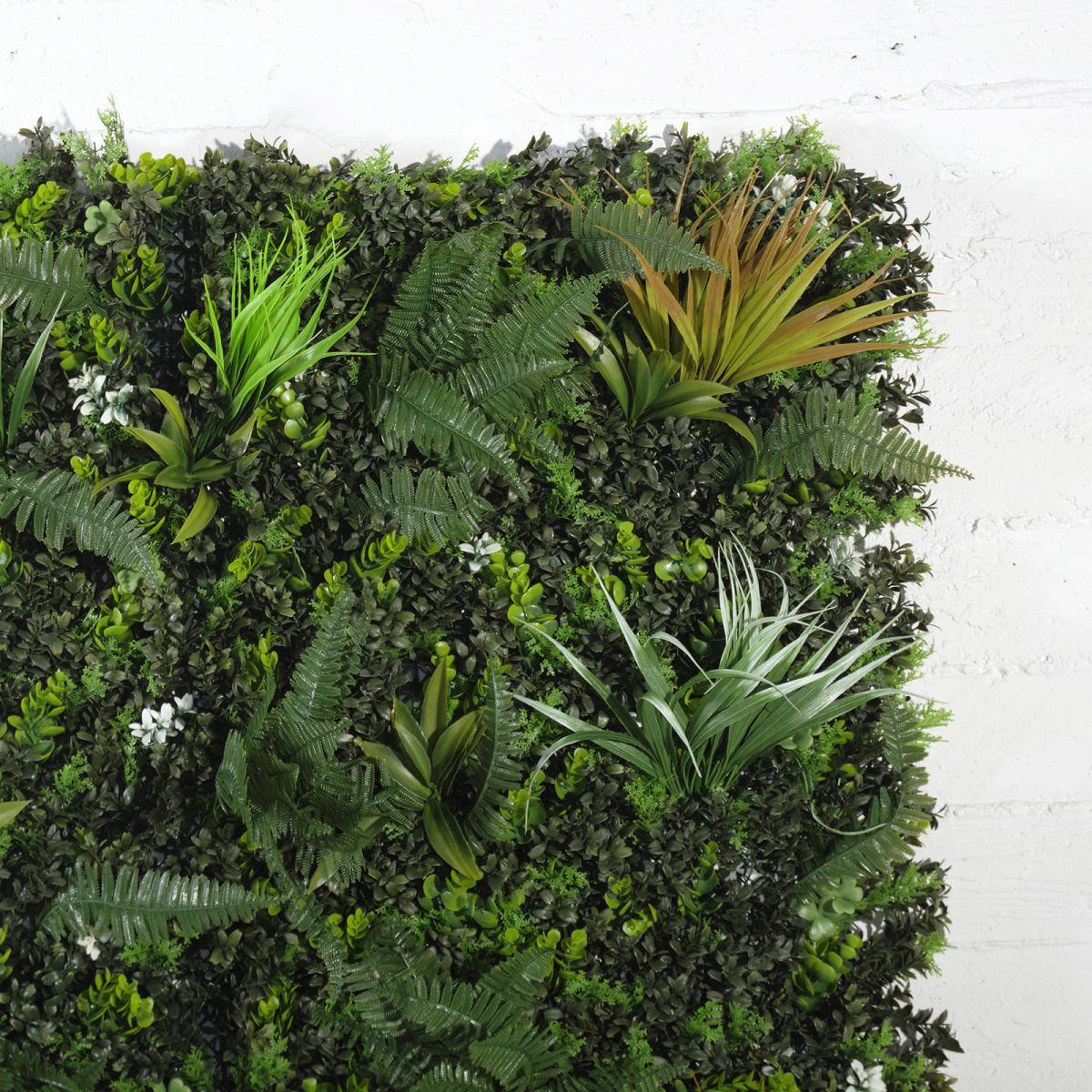 /filemanager/supergreens/7-1307-1.jpg