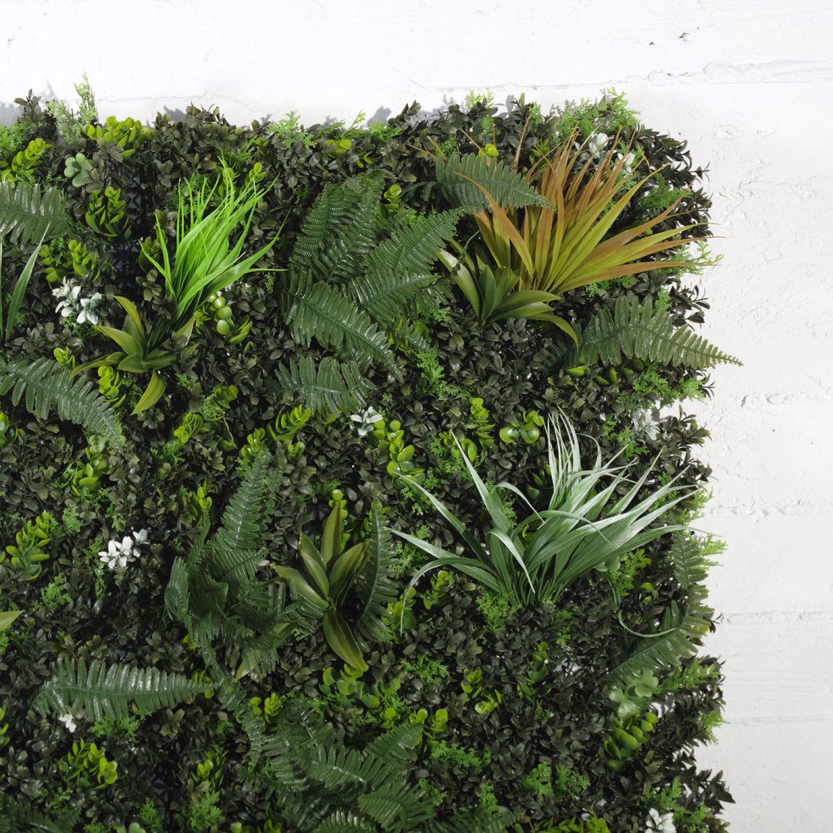 Supergreens Texniti Fullosia Fteri Stipa 100x100cm 7031-7