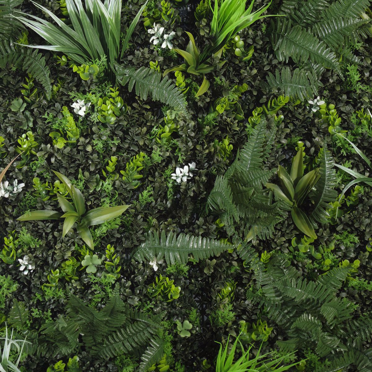 Supergreens Texniti Fullosia Fteri Stipa 100x100cm 7031-7