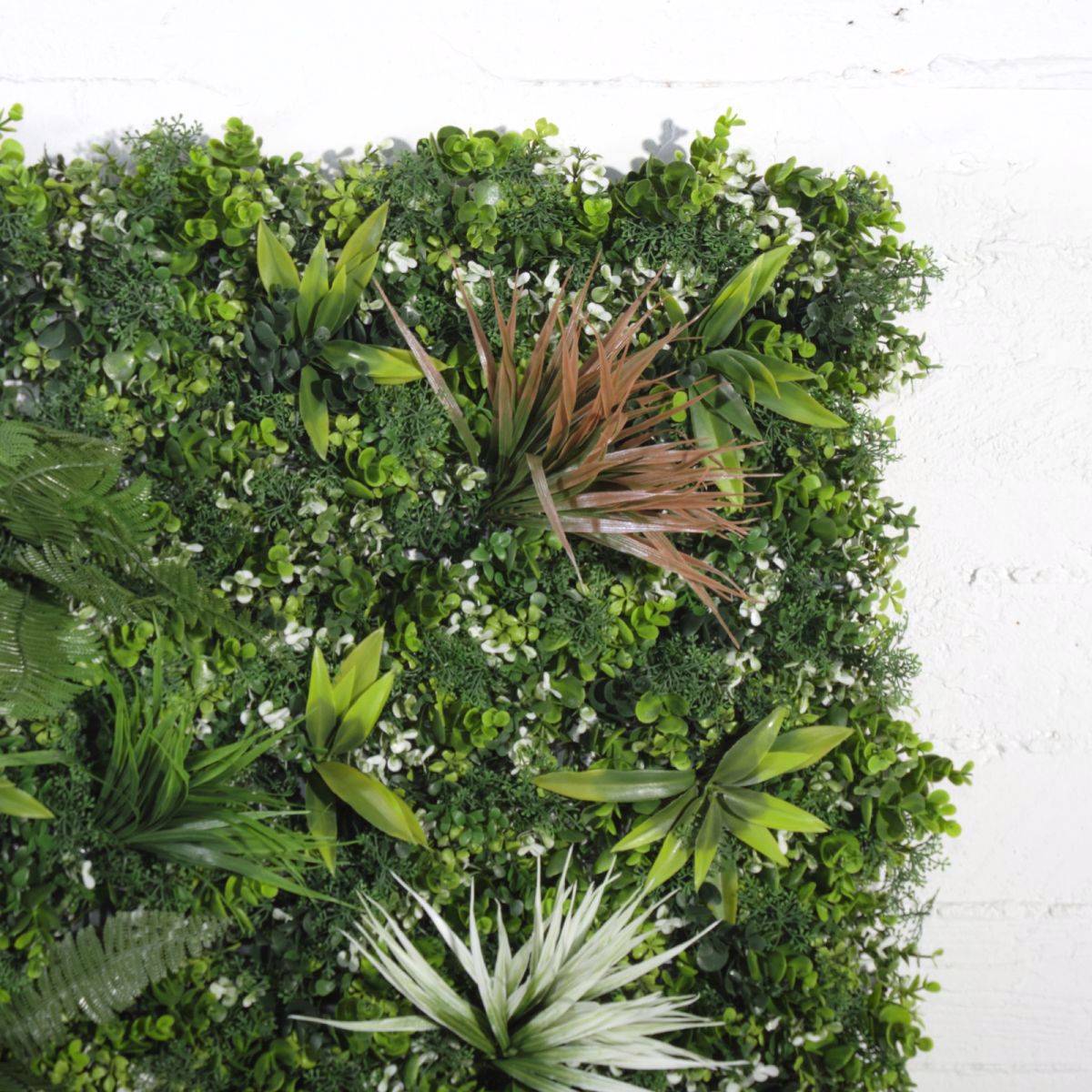 Supergreens Texniti Fullosia Fteri me Puxo 100x100cm 8231-7