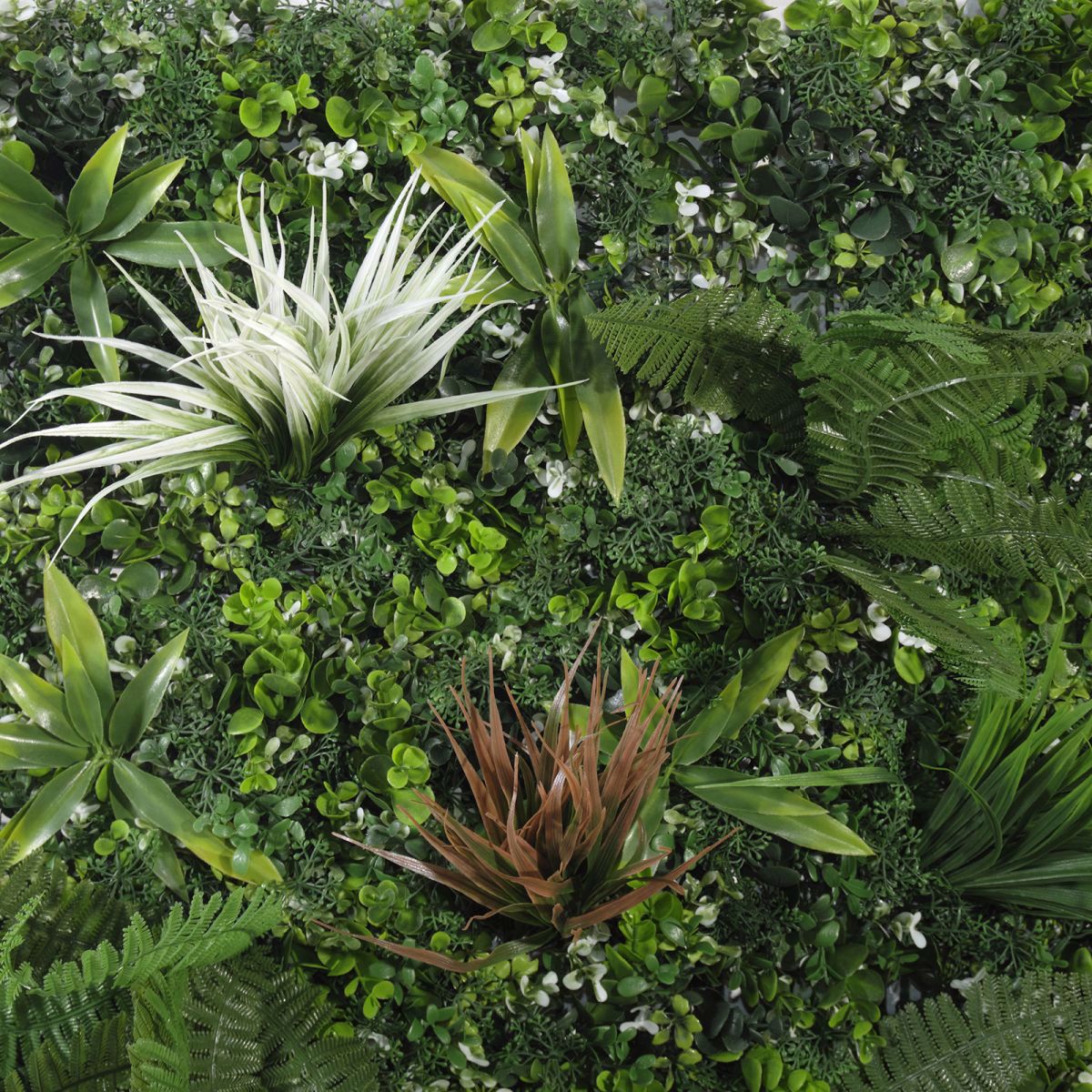 Supergreens Texniti Fullosia Fteri me Puxo 100x100cm 8231-7