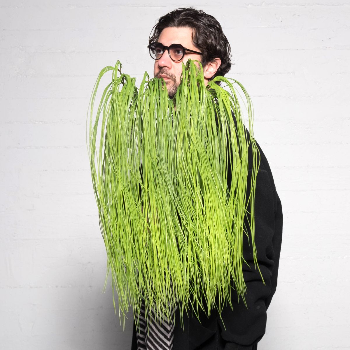 /filemanager/supergreens/7-1333-1.jpg
