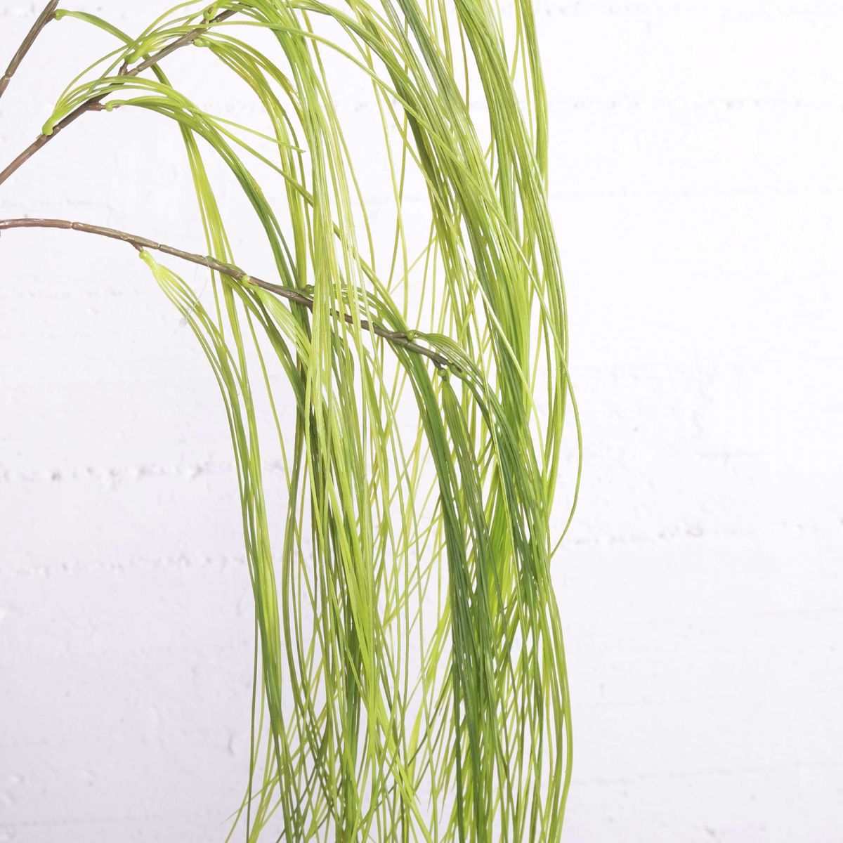 Supergreens Texnito Kremasto Xortari 114cm 3331-7