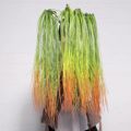 Supergreens Texnito Kremasto Xortari 2-Tone 114cm 4331-7