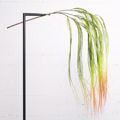 Supergreens Texnito Kremasto Xortari 2-Tone 114cm 4331-7