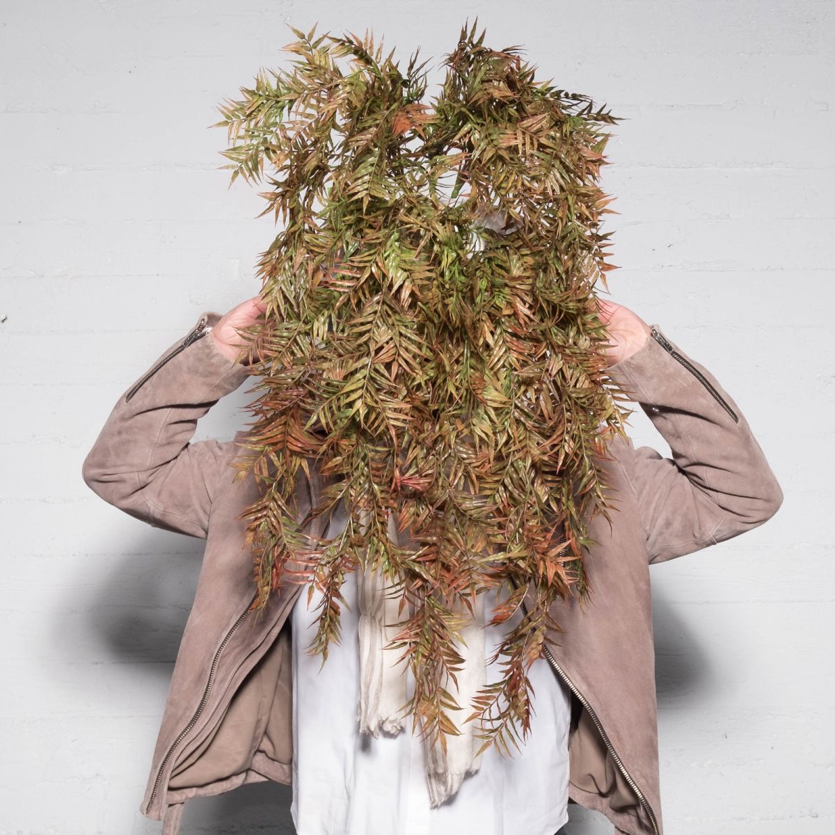/filemanager/supergreens/7-1336-1.jpg