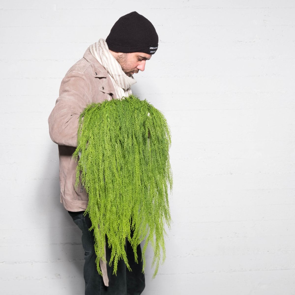 /filemanager/supergreens/7-1337-1.jpg