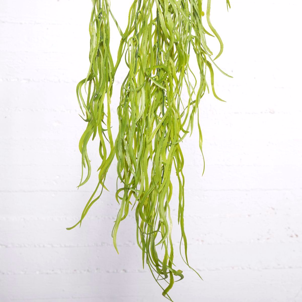 Supergreens Texnito Kremasto Xortari 91cm 3431-7