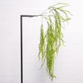 Supergreens Texnito Kremasto Xortari 91cm 3431-7
