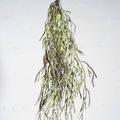 Supergreens Texniti Kremasti Touga Prasini 63cm 0741-7