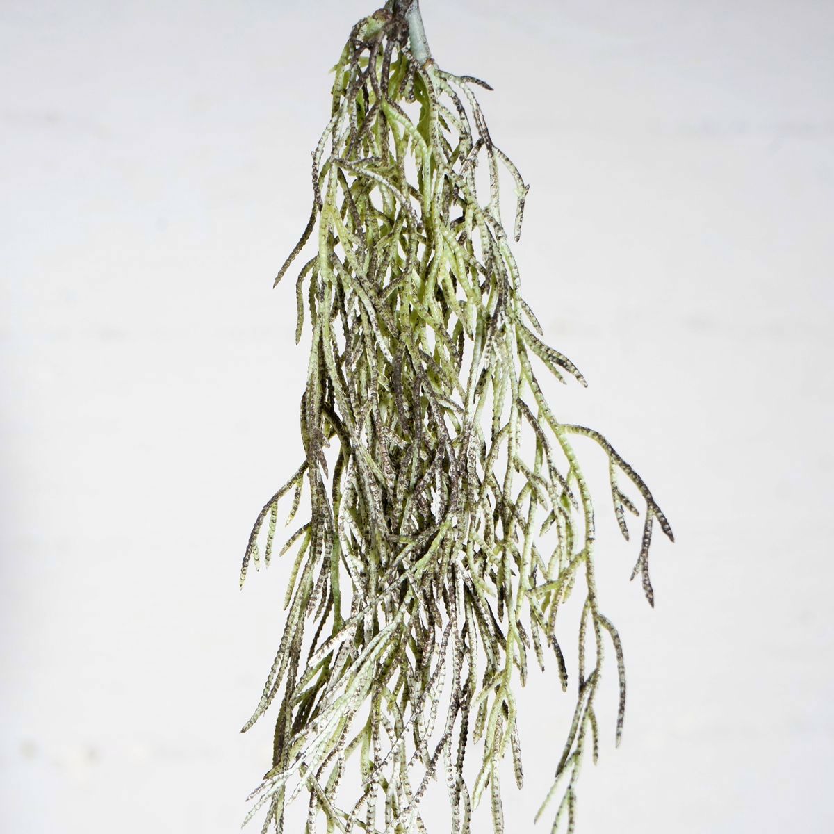 Supergreens Texniti Kremasti Touga Prasini 63cm 0741-7