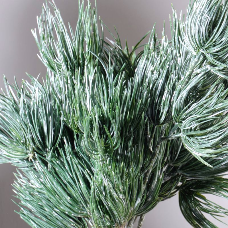Supergreens Texnito Kladi Pefko 36cm 4741-7