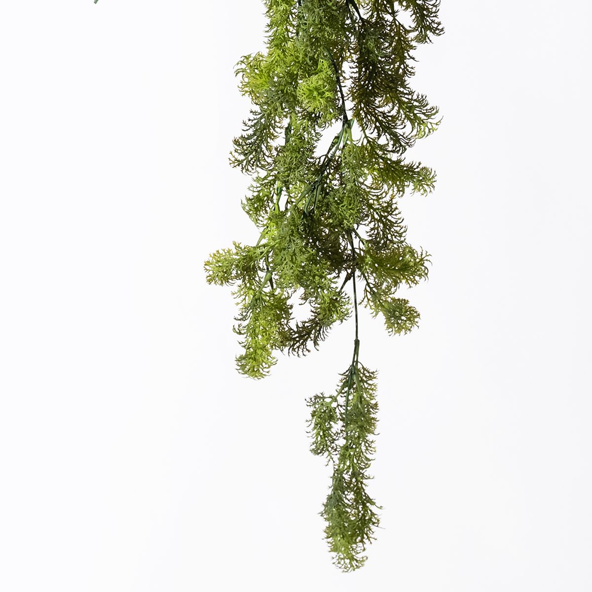 /filemanager/supergreens/7-1633-1.jpg