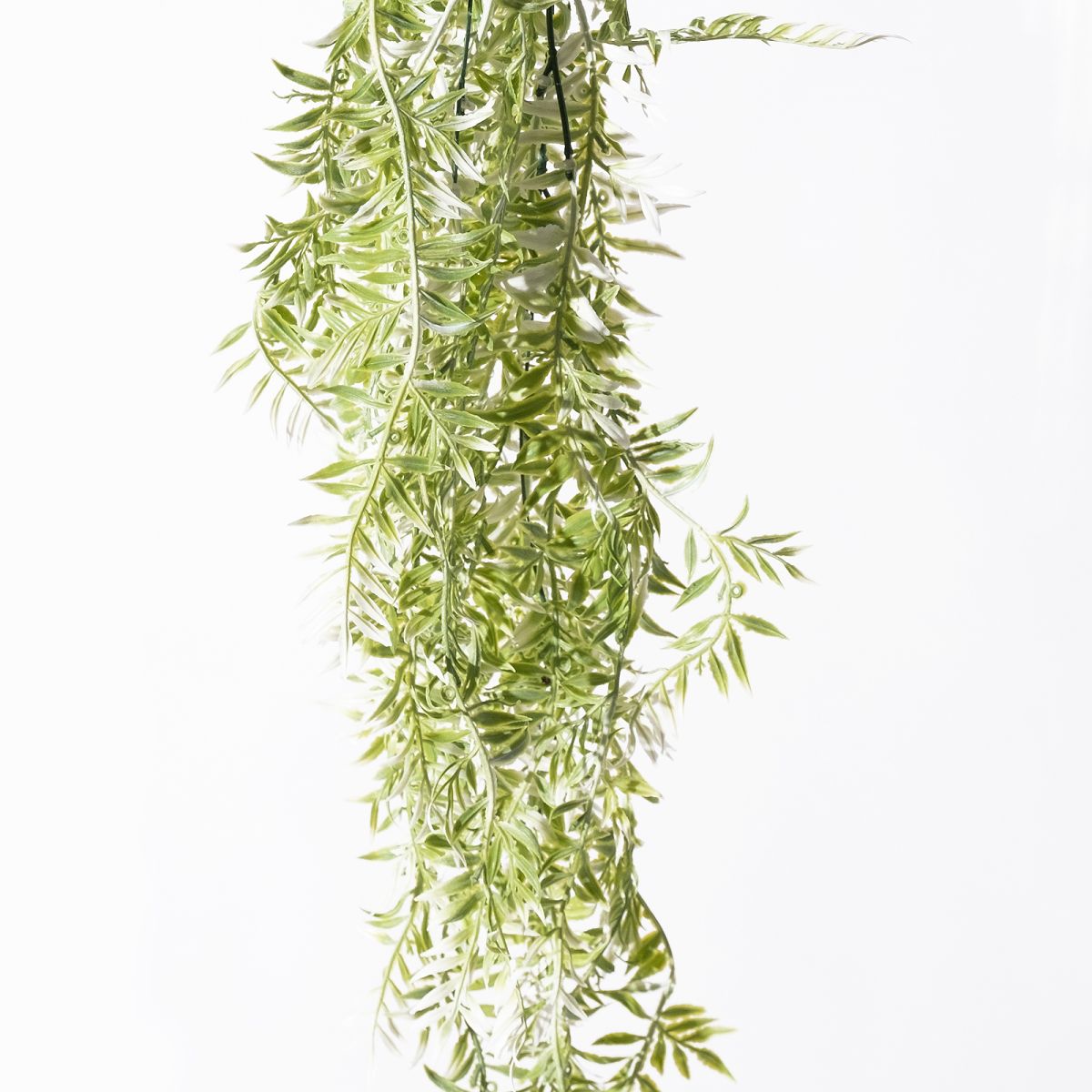 /filemanager/supergreens/7-1635-1.jpg