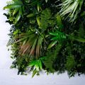 Supergreens Texniti Fullosia Fteri ''Browny'' 100x100cm 7060-7