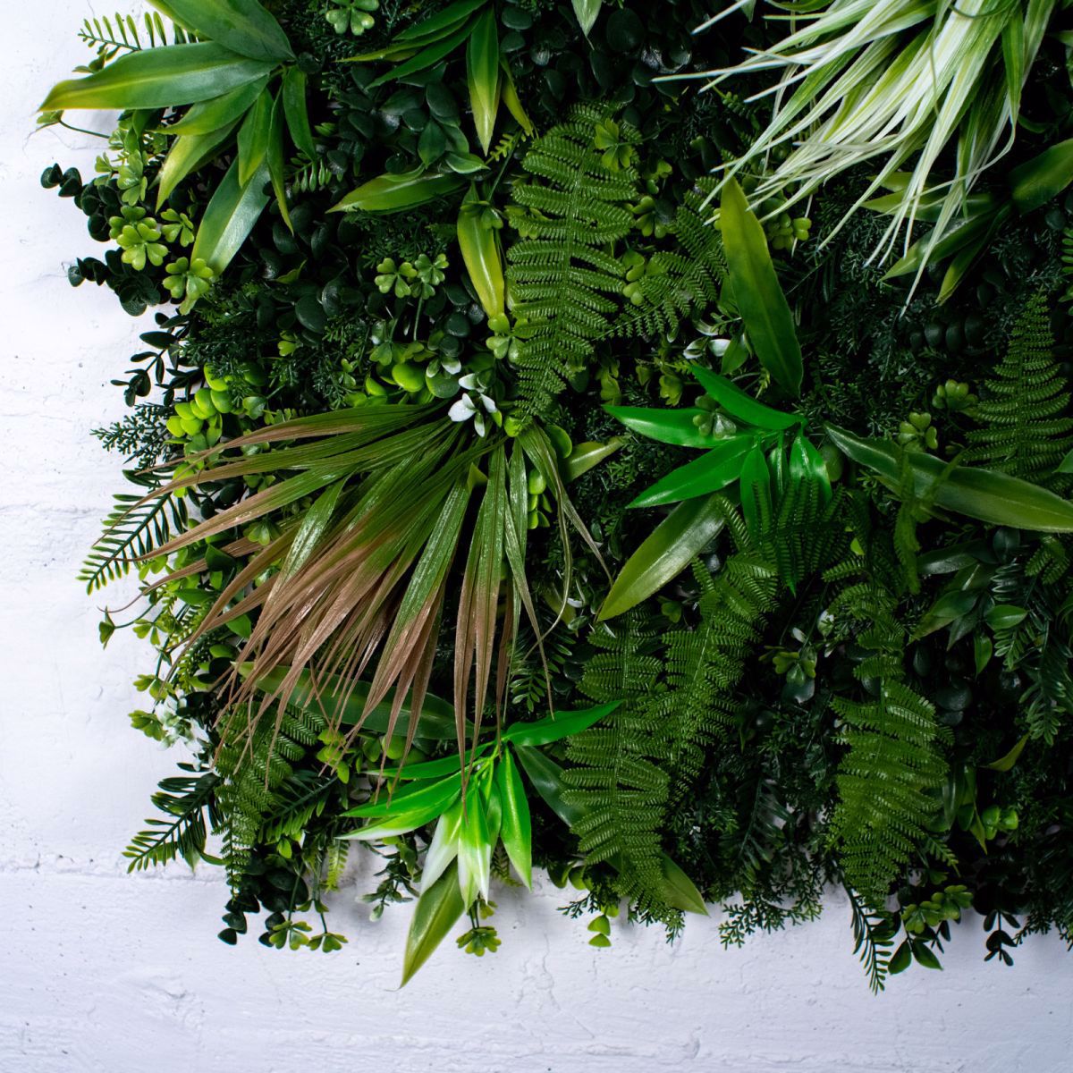 Supergreens Texniti Fullosia Fteri ''Browny'' 100x100cm 7060-7