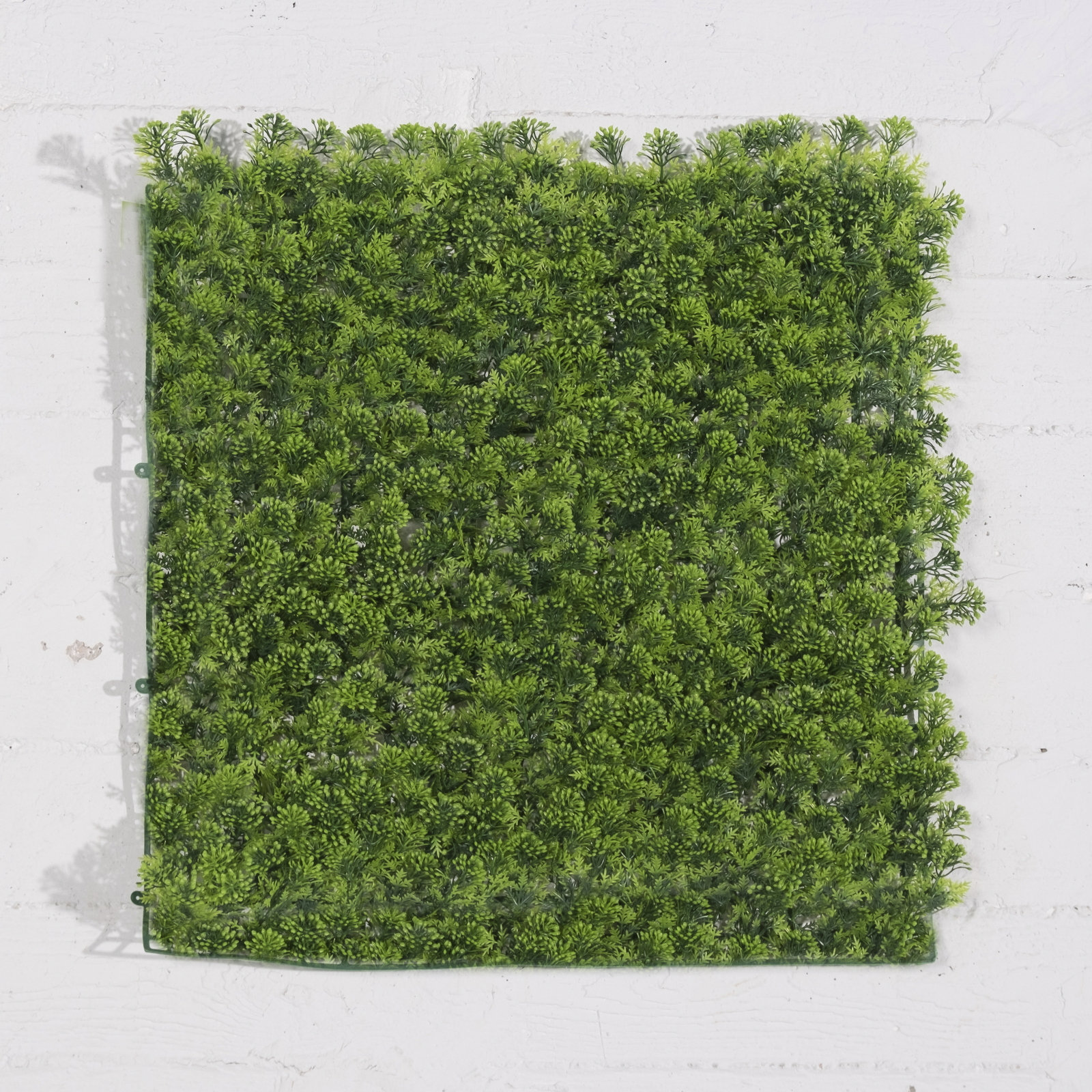 /filemanager/supergreens/7291-7-2.jpg