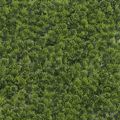 Supergreens Texniti Fullosia Moss Hyloconium 50x50cm 7291-7