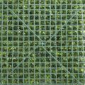 Supergreens Texniti Fullosia Moss Hyloconium 50x50cm 7291-7