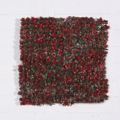 Supergreens Texniti Fullosia Moss ''Rubrimossia'' Kokkini 50x50cm 8291-7