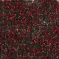 Supergreens Texniti Fullosia Moss ''Rubrimossia'' Kokkini 50x50cm 8291-7