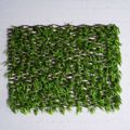 Supergreens Texniti Ptussomeni Fullosia Puxari 100x200cm 8351-7
