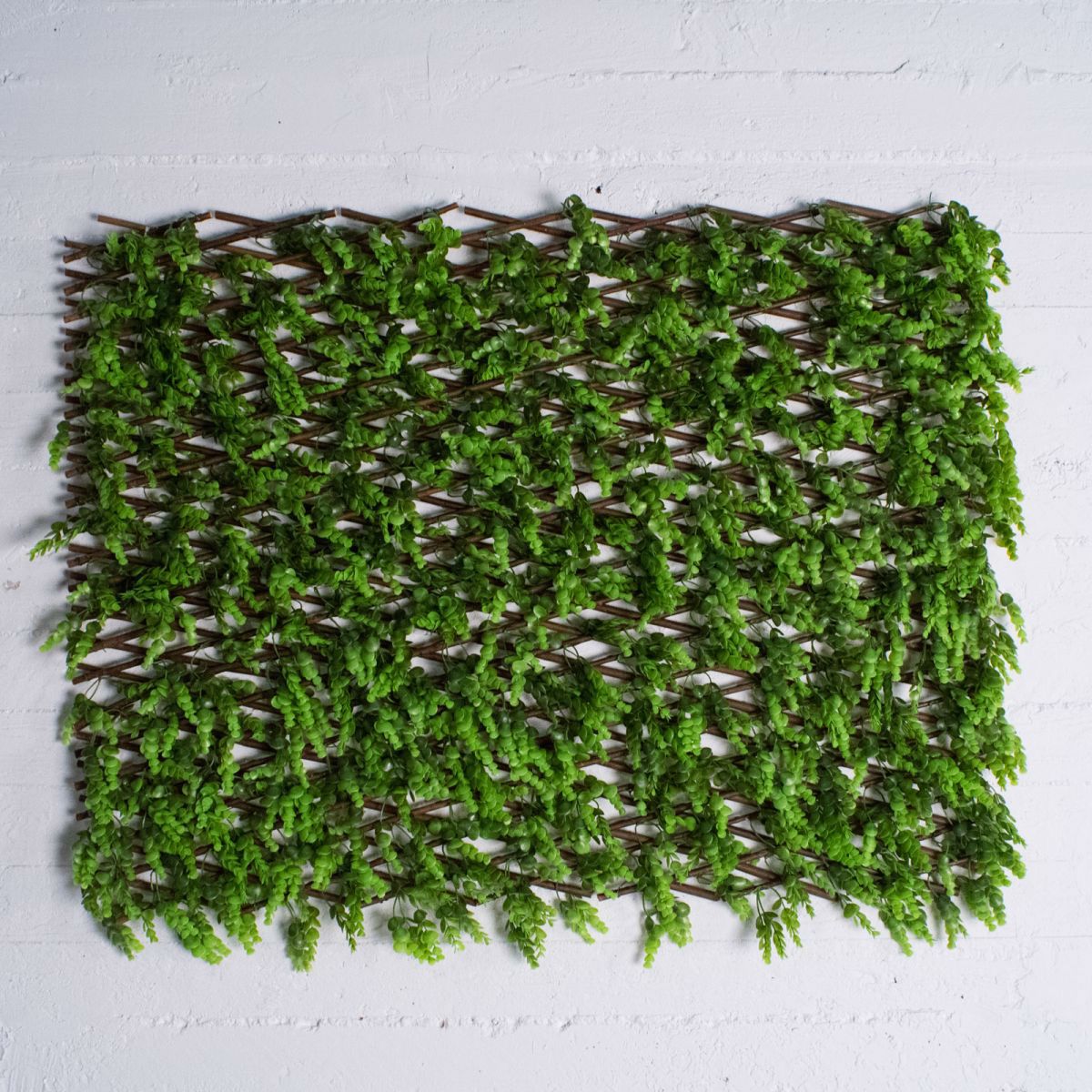 Supergreens Texniti Ptussomeni Fullosia Puxari 100x200cm 8351-7