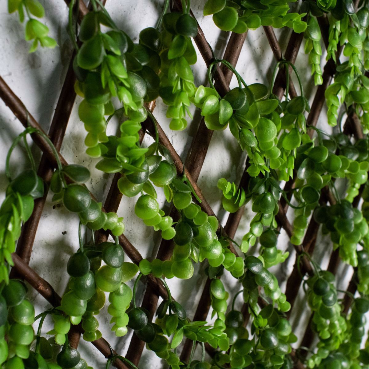 Supergreens Texniti Ptussomeni Fullosia Puxari 100x200cm 8351-7