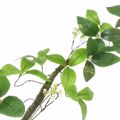 Supergreens Texniti Grlanta Fikos Ginseng Prasini 240cm 8881-7