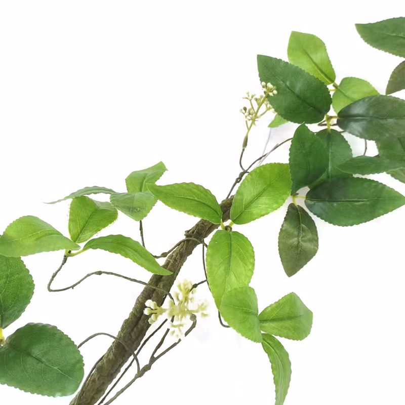 Supergreens Texniti Grlanta Fikos Ginseng Prasini 240cm 8881-7