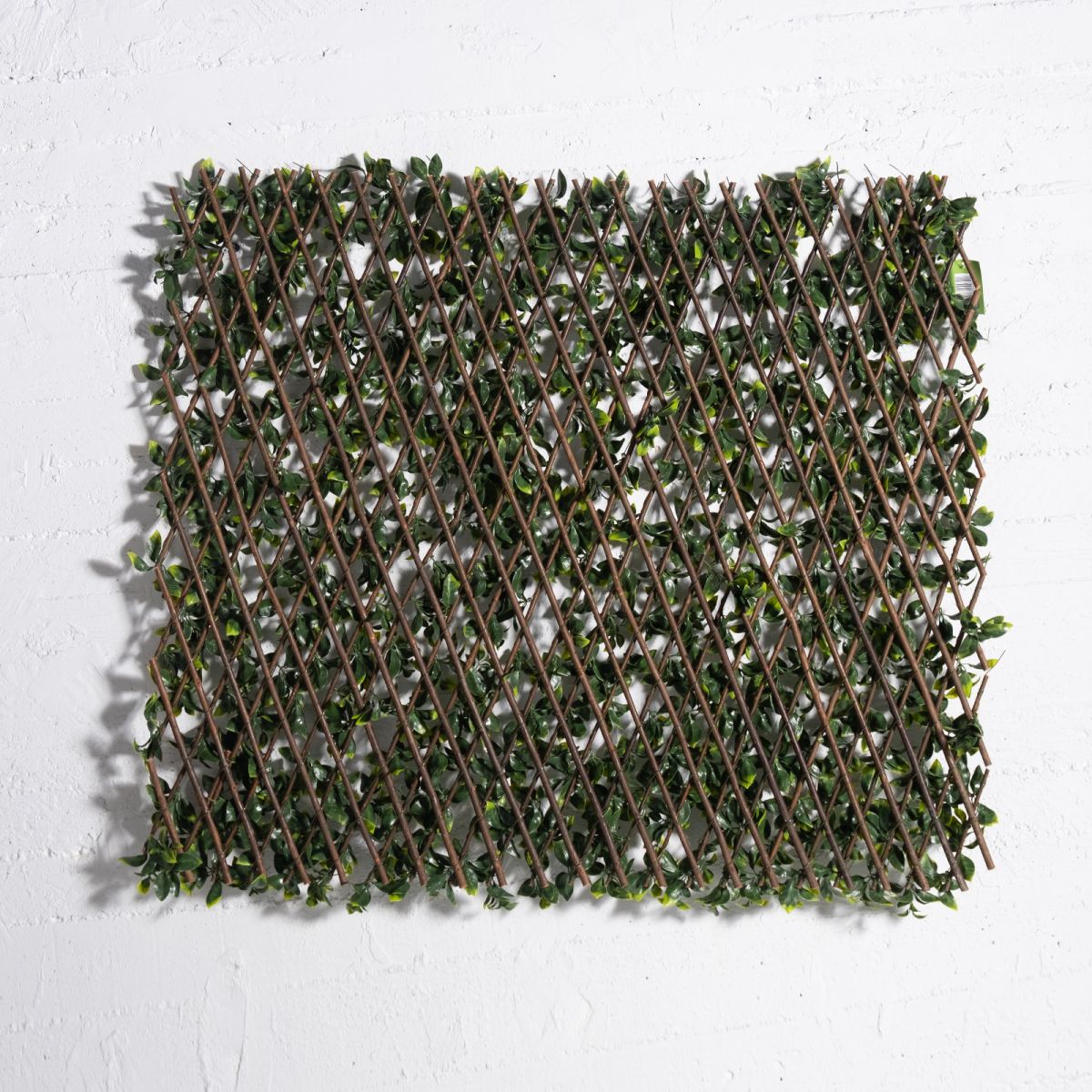 /filemanager/supergreens/9351-7_2.jpg