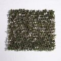 Supergreens Texniti Ptussomeni Fullosia Seflera Arboricola 100x200cm 9351-7