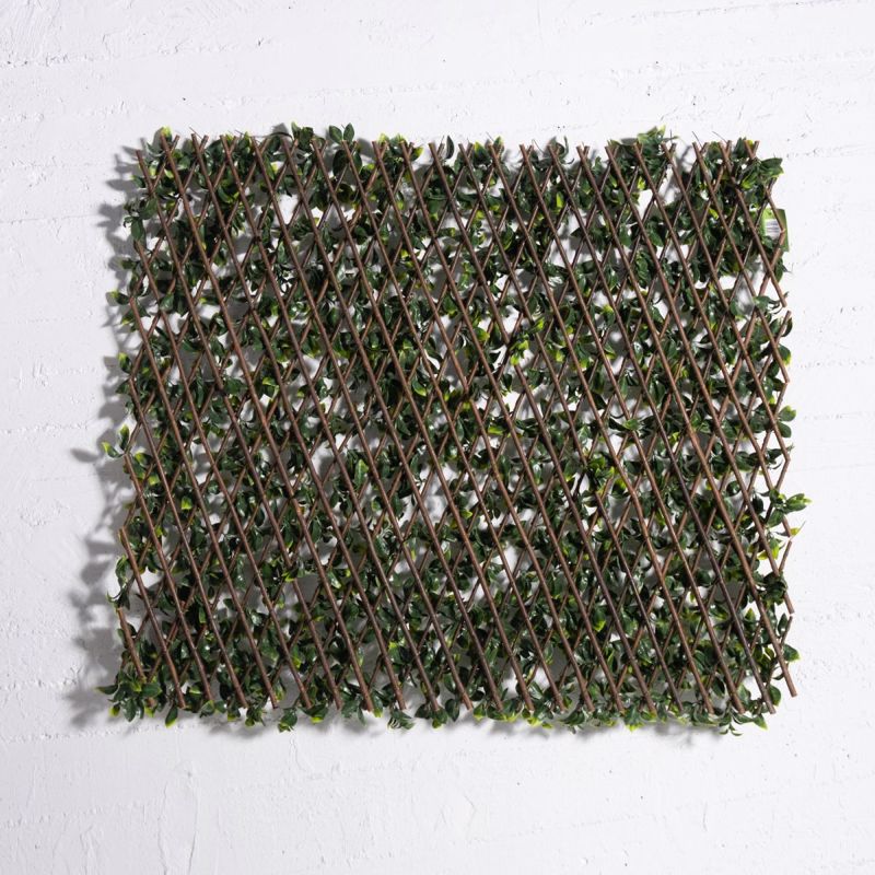 Supergreens Texniti Ptussomeni Fullosia Seflera Arboricola 100x200cm 9351-7