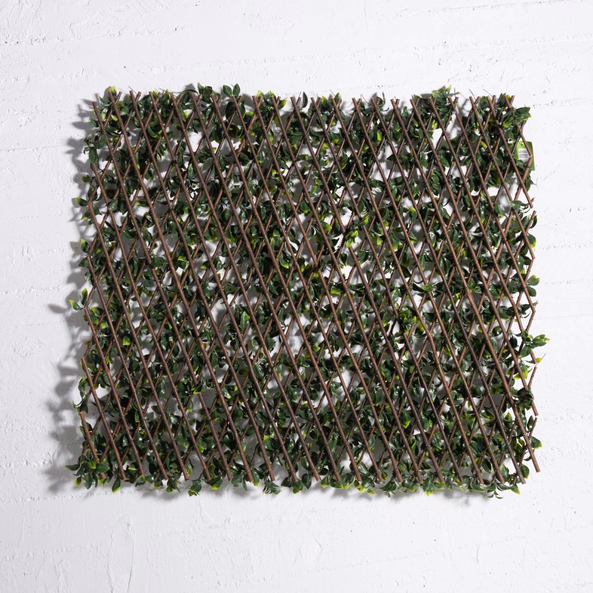 Supergreens Texniti Ptussomeni Fullosia Seflera Arboricola 100x200cm 9351-7