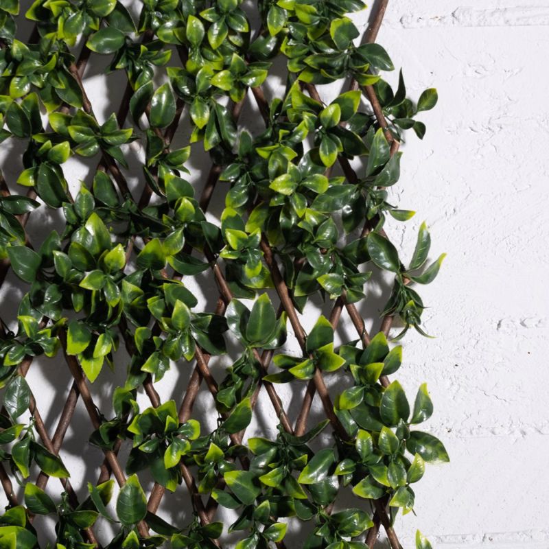 Supergreens Texniti Ptussomeni Fullosia Seflera Arboricola 100x200cm 9351-7