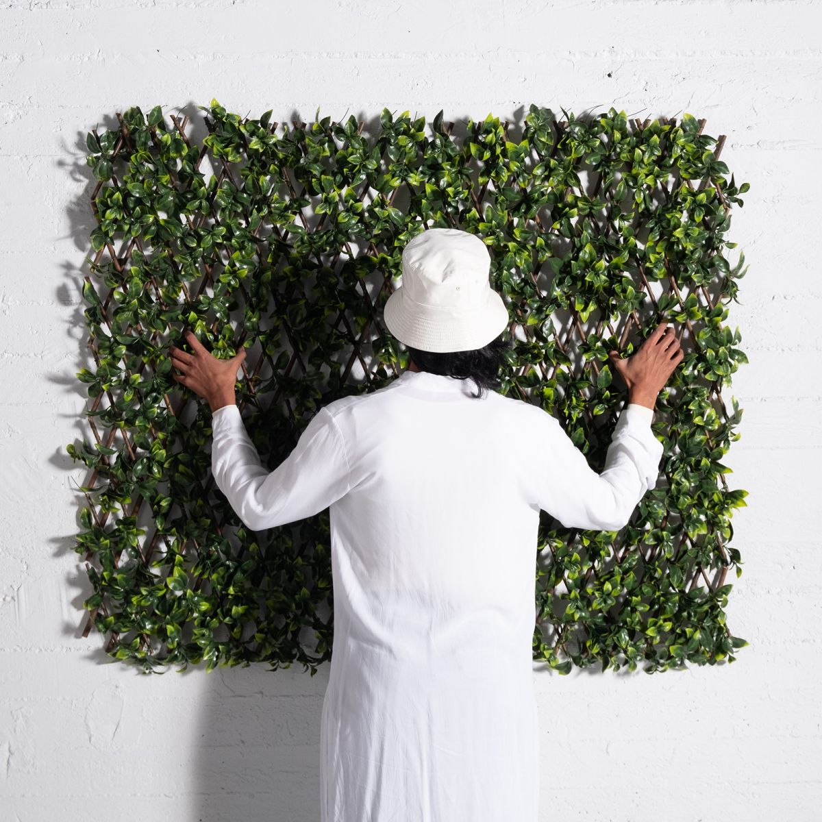 /filemanager/supergreens/9351-7_4.jpg
