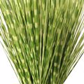 Supergreens Texnito Futo Stipa ''Zebra'' Prasino 170cm 9390-6