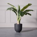 Supergreens Gastra Pilini Obal ''Terazzo'' Mavro Small F26x28cm A-5150-8