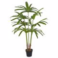 Supergreens Texnito Dentro Rapis Excelsa 110cm 0380-6