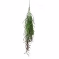 Supergreens Texnito Kremasto Xortari ''Phyllo'' Prasino 90cm 0391-7