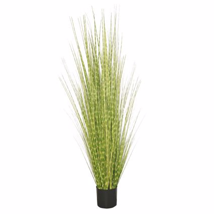 Supergreens Τεχνητό Φυτό Στίπα ''Zebra'' Πράσινο 150cm 0490-6