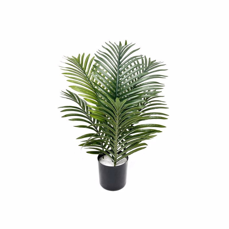 Supergreens Texnito Futo Foinikas ''Palma'' Prasino 60cm 0511-6