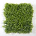Supergreens Texniti Fullosia Fteri Maidenhair 50x50cm 1031-7