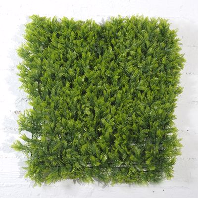 Supergreens Τεχνητή Φυλλωσιά Φτέρη Maidenhair 50x50cm 1031-7