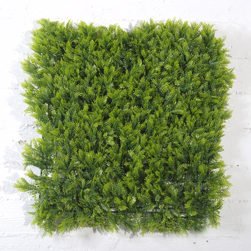Supergreens Texniti Fullosia Fteri Maidenhair 50x50cm 1031-7