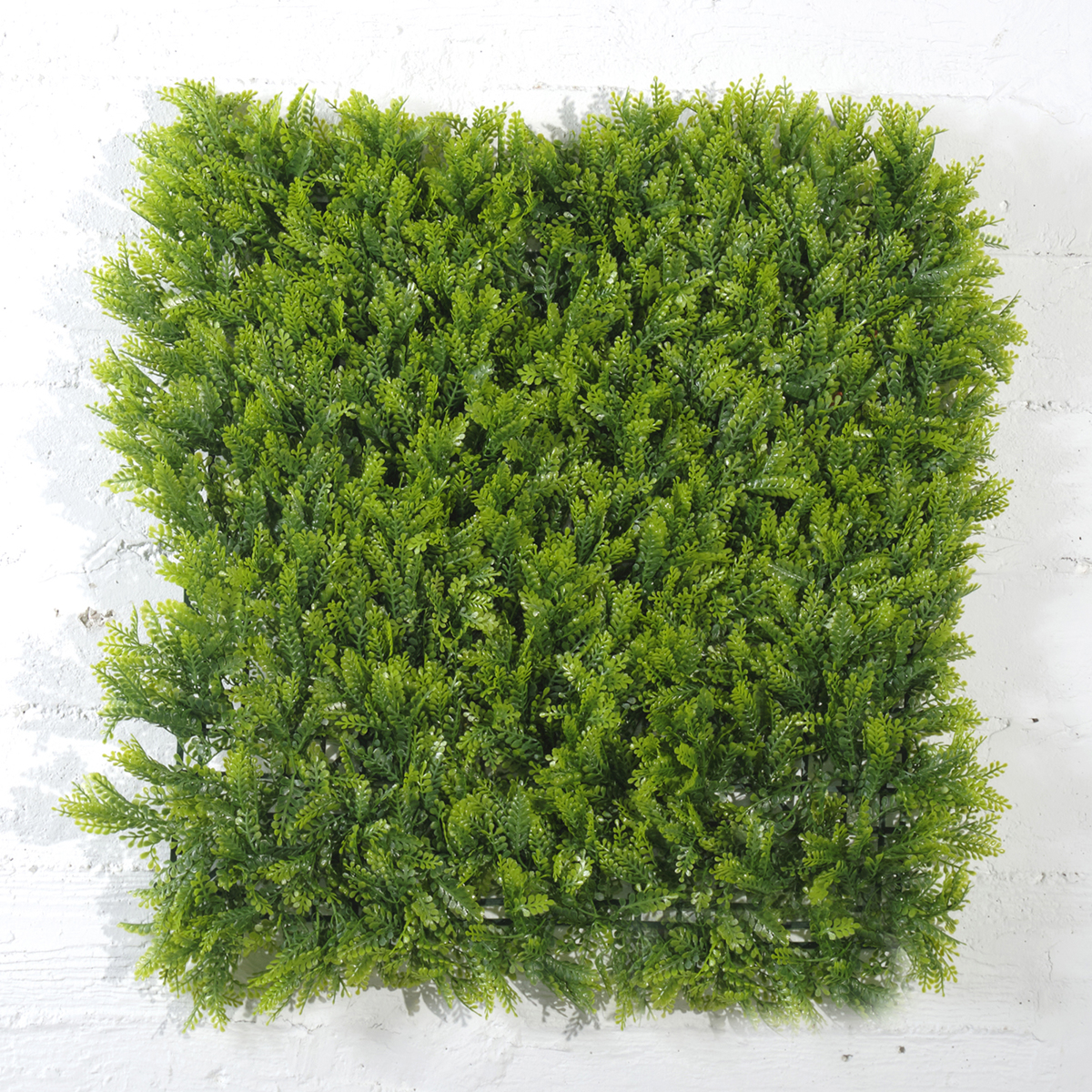 Supergreens Texniti Fullosia Fteri Maidenhair 50x50cm 1031-7