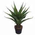Supergreens Texnito Futo se Gastra Aloi Azzure Prasino 90cm 1101-6