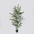 Supergreens Texnito Dentro Bampou Lucky 182cm 1160-6