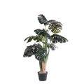 Supergreens Texnito Dentro Monstera 110cm 1880-6